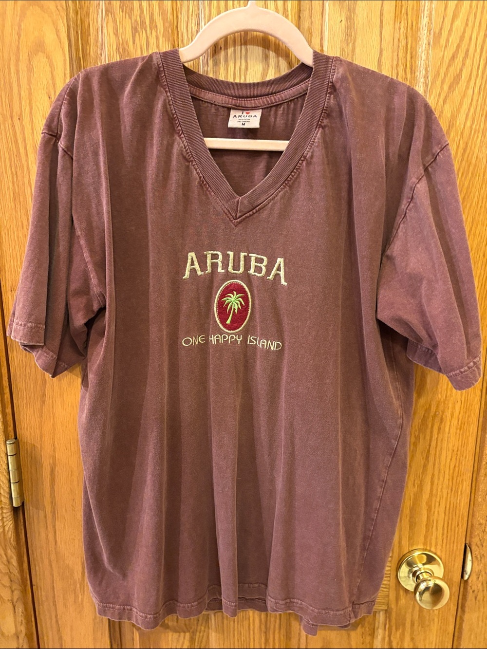 Aruba V-Neck Palm Logo Tee - Washed Plum